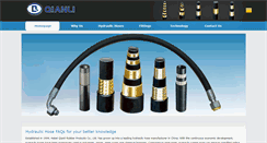Desktop Screenshot of hydraulichose-fittings.com